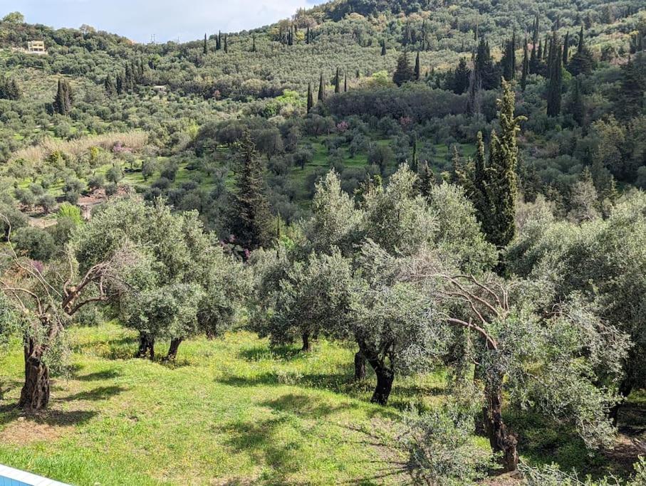 Villa Eleonas Strongyli  Bagian luar foto